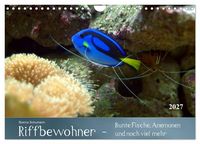 Produktbild: Riffbewohner - Bunte Fische, Anemonen und noch viel mehr (Wandkalender 2027 DIN A4 quer), CALVENDO Monatskalender