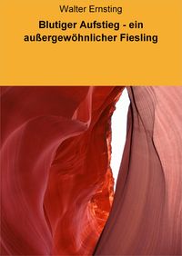 Produktbild: Blutiger Aufstieg - ein au&szlig;ergew&ouml;hnlicher Fiesling