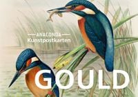 Produktbild: Postkarten-Set John Gould