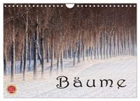 Produktbild: B&auml;ume (Wandkalender 2027 DIN A4 quer), CALVENDO Monatskalender