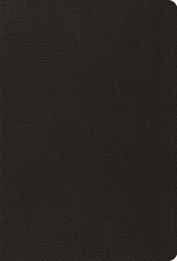 Produktbild: Psalms-ESV