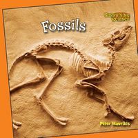 Produktbild: Fossils
