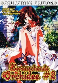 Bild vom Artikel Berauschende Orchidee 2  Collector's Edition vom Autor Deutsch