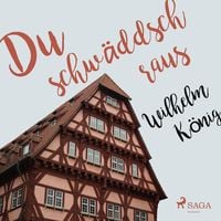 Produktbild: Du schw&auml;ddsch raus (Ungek&uuml;rzt)