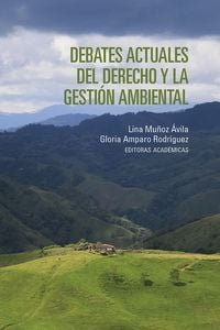 Produktbild: Debates actuales del derecho y la gesti&oacute;n ambiental