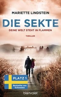 Produktbild: Die Sekte - Deine Welt steht in Flammen