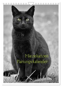 Produktbild: Miezekatzen Planungskalender (Wandkalender 2026 DIN A4 hoch), CALVENDO Monatskalender
