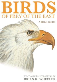 Produktbild: Birds of Prey of the East