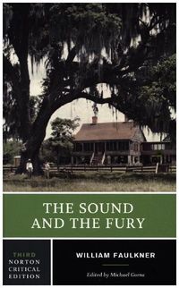 Produktbild: Faulkner, W: Sound and the Fury