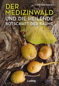 Produktbild: Der Medizinwald und die heilende Botschaft der B&auml;ume.