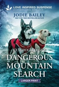Produktbild: Dangerous Mountain Search