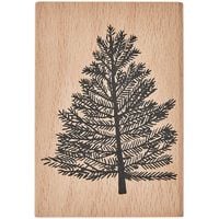 Produktbild: Stempel Kiefer 85 x 120 mm