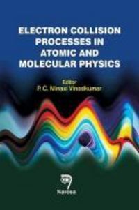 Produktbild: Electron Collision Processes I