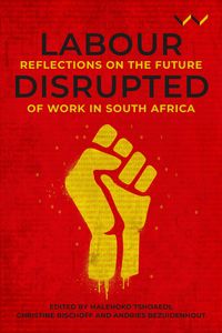 Produktbild: Labour Disrupted