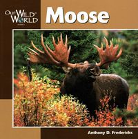 Produktbild: Moose