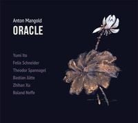 Bild vom Artikel Oracle vom Autor Anton Mangold