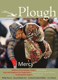 Produktbild: Plough Quarterly No. 7