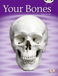 Produktbild: Bug Club Guided Non Fiction Year 1 Green C Your Bones