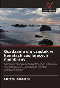 Produktbild: Osadzanie si&iquest; cz&iquest;stek w kana&iquest;ach zasilaj&iquest;cych membrany