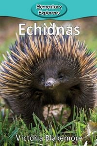 Produktbild: Echidnas