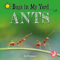 Produktbild: Ants