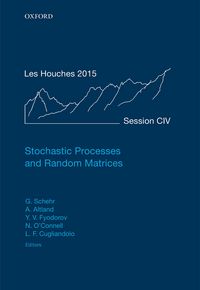 Produktbild: Stochastic Processes and Random Matrices