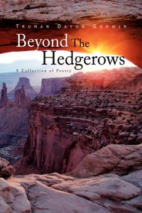 Produktbild: Beyond the Hedgerows