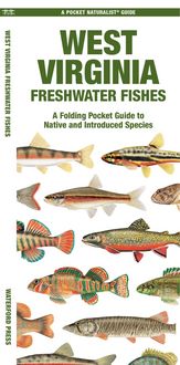 Produktbild: West Virginia Freshwater Fishes