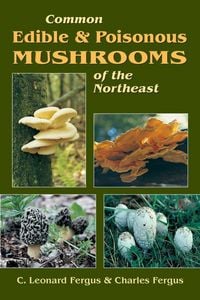 Produktbild: Common Edible & Poisonous Mushrooms of the Northeast