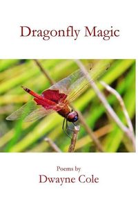 Produktbild: Dragonfly Magic
