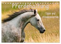Produktbild: Pferdehaltung Tipps und Wissenswertes (Tischkalender 2027 DIN A5 quer), CALVENDO Monatskalender