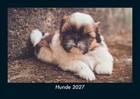 Produktbild: Hunde 2027 Fotokalender DIN A5