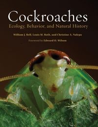 Produktbild: Cockroaches