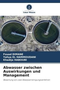 Produktbild: Abwasser zwischen Auswirkungen und Management