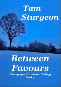 Produktbild: Between Favours - The Champagne Hurricane Trilogy - Book 3