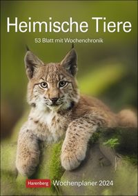 Heimische Tiere Wochenplaner 2024. Jede Woche schöne Tierfotos in einem praktischen Kalender zum Eintragen. Ein Terminkalender für die Wand mit beei von Markus Hattstein