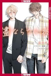 Produktbild: My Uncontrollable Man, Volume 4 (Light Novel) (My Beautiful Man (Light Novel))