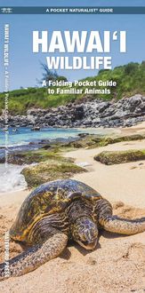 Produktbild: Hawai'i Wildlife, 2nd Ed