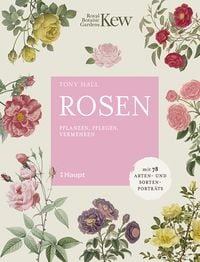 Produktbild: Rosen