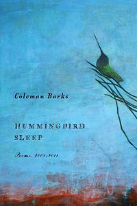 Produktbild: Hummingbird Sleep