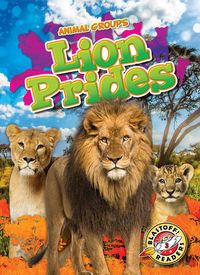 Produktbild: Lion Prides