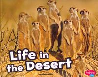 Produktbild: Life in The Desert