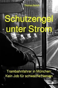 Produktbild: Schutzengel unter Strom
