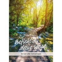Produktbild: Befiehl du deine Wege