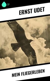 Produktbild: Mein Fliegerleben