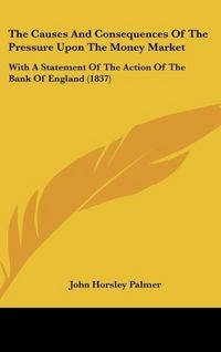 Produktbild: Palmer, J: Causes And Consequences Of The Pressure Upon The