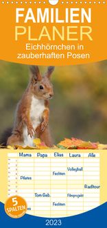 Bild vom Artikel Familienplaner Eichhörnchen in zauberhaften Posen (Wandkalender 2023 , 21 cm x 45 cm, hoch) vom Autor Tine Meier