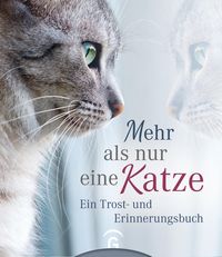 Bild vom Artikel Mehr als nur eine Katze vom Autor 