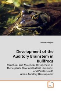 Produktbild: Templin, T: Development of the Auditory Brainstem in Bullfro