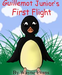Produktbild: Guillemot Junior's First Flight: A children's story with morals.